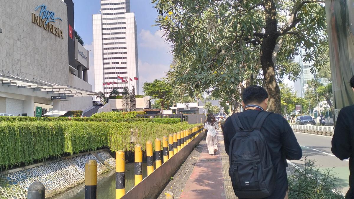 Ikan Sapu-Sapu Raksasa di Sungai Plaza Indonesia Jadi Sorotan